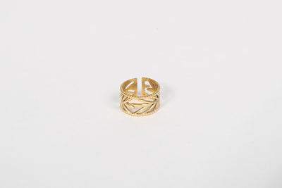 Evora - Ring - Edler aus Gold - 100% wasserfest, langlebig & stilvoll - Exklusiver Schmuck von Parisa.ch