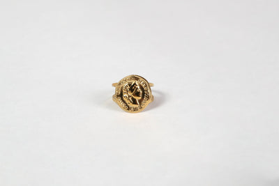 Helvetia - Ring - Edler aus Gold - 100% wasserfest, langlebig & stilvoll - Exklusiver Schmuck von Parisa.ch